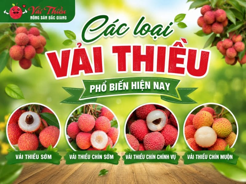 Các loại vải thiều phổ biến