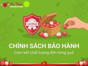 Chính Sách Bảo Hành