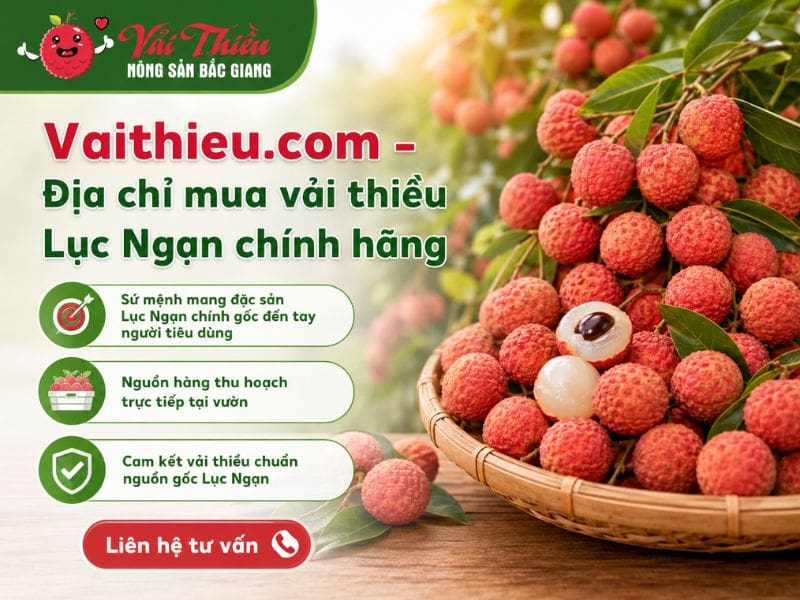 Mua vải thiều Lục Ngạn ở đâu