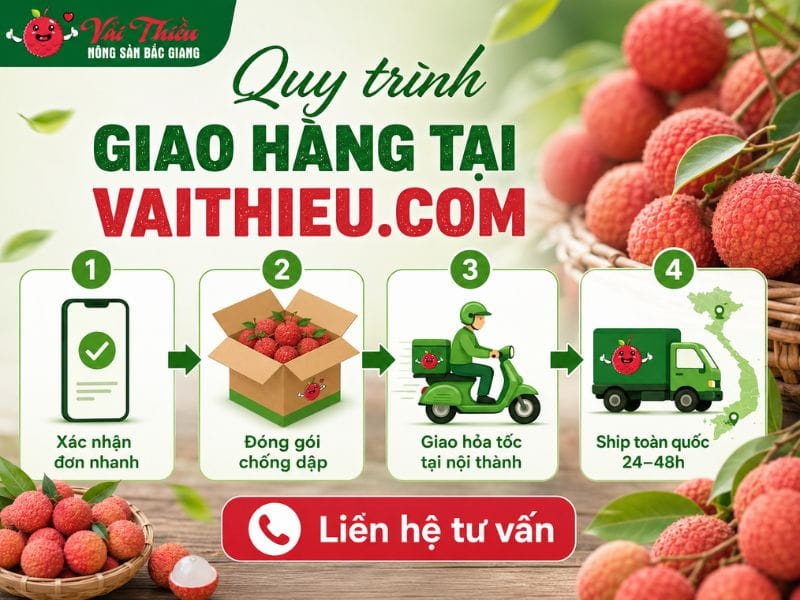 Mua vải thiều Lục Ngạn ở đâu