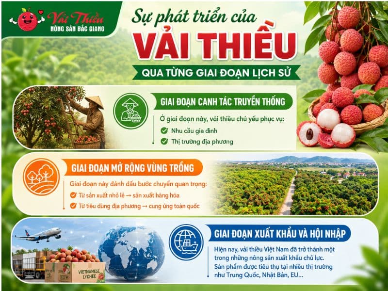 Nguồn gốc vải thiều