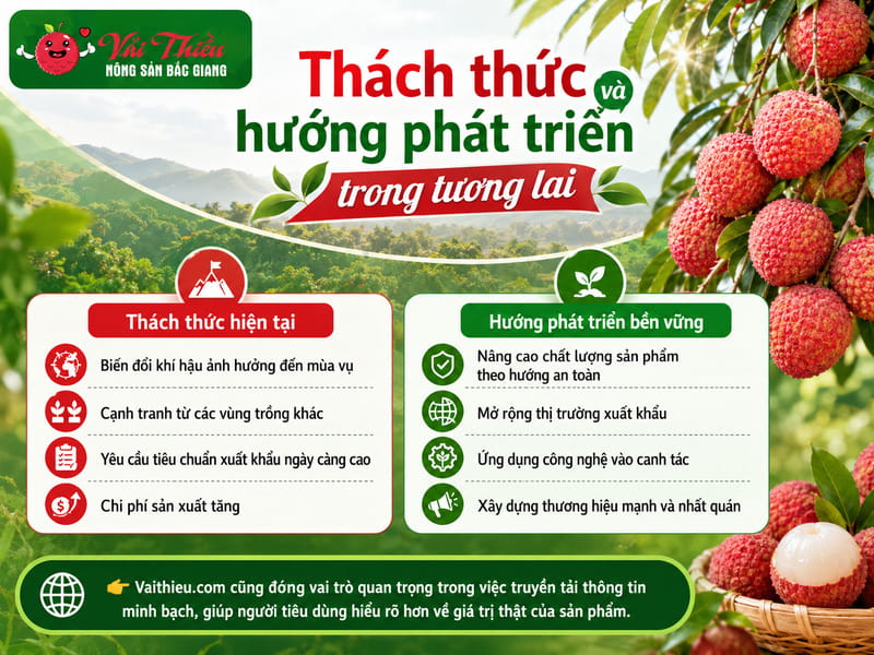 Nguồn gốc vải thiều Lục Ngạn