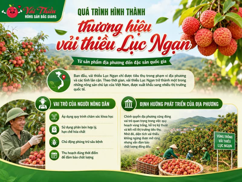 Nguồn gốc vải thiều Lục Ngạn