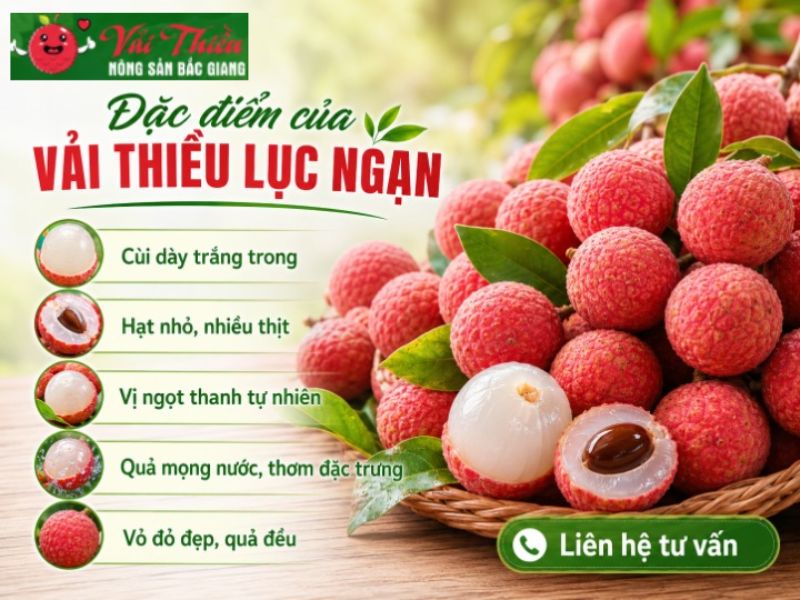 Vải Thiều Ngọt Đậm Không Hóa Chất