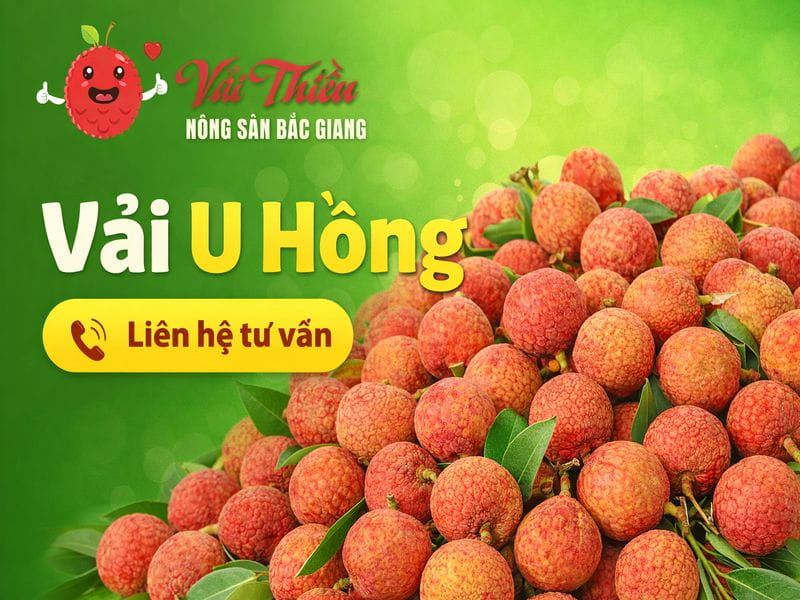Vải U Hồng
