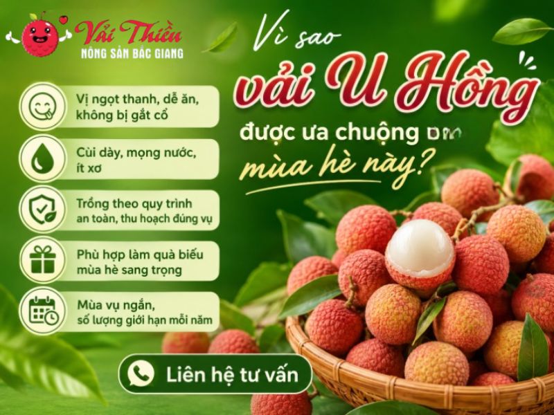 Vải U Hồng