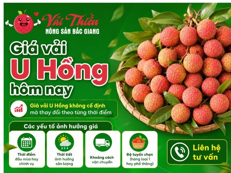 Vải U Hồng