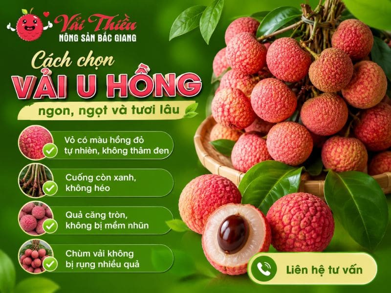 Vải U Hồng