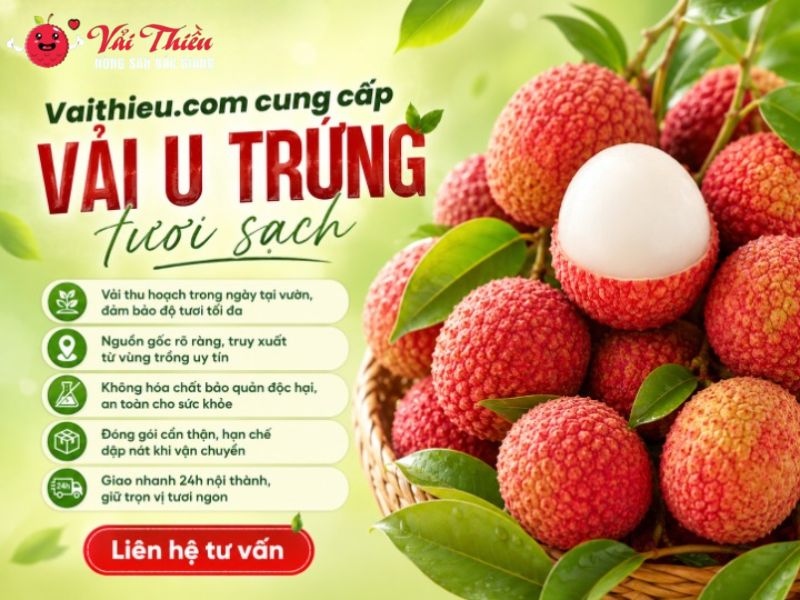 Vải U Trứng