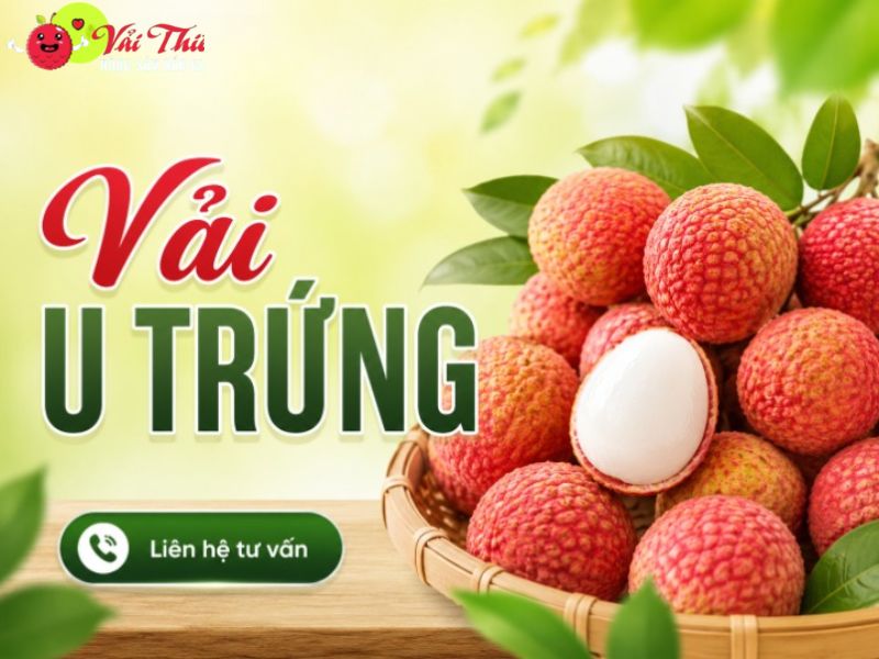 Vải U Trứng