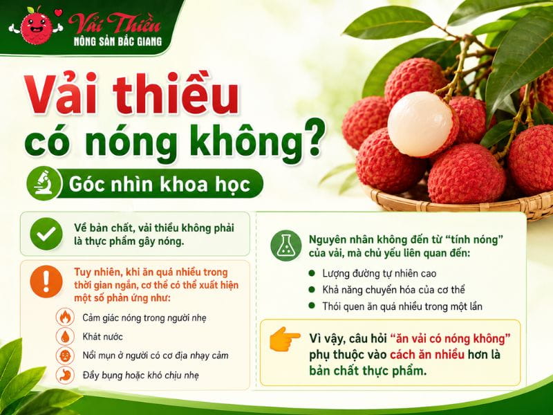 Vải thiều có nóng không
