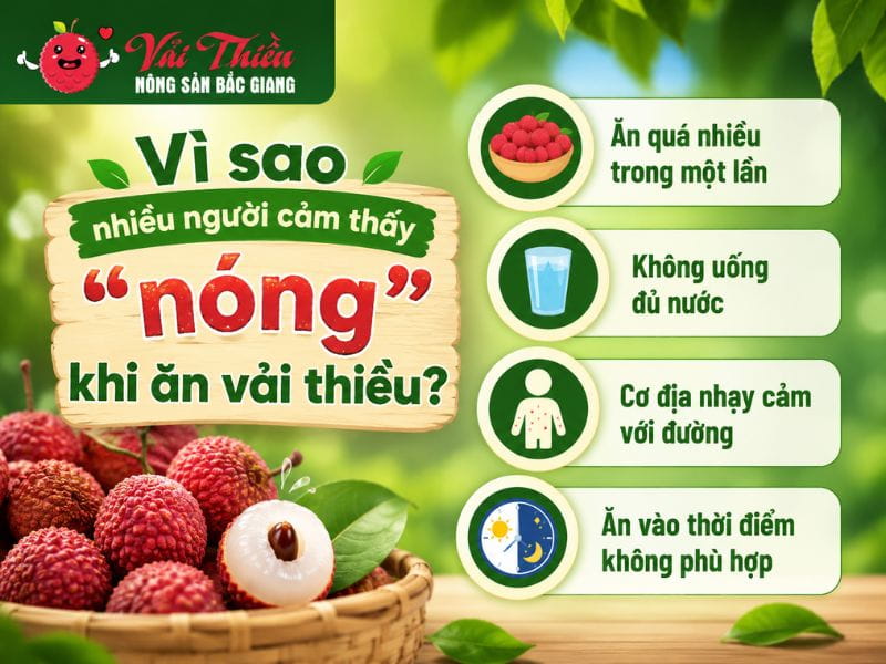 Vải thiều có nóng không