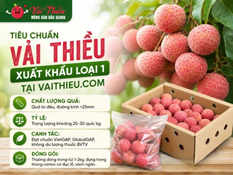 Vải thiều xuất khẩu loại 1