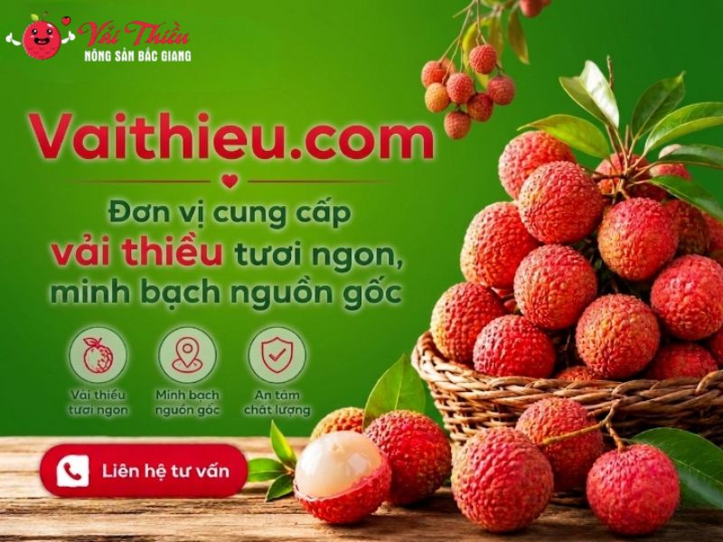 Vathieu.com 