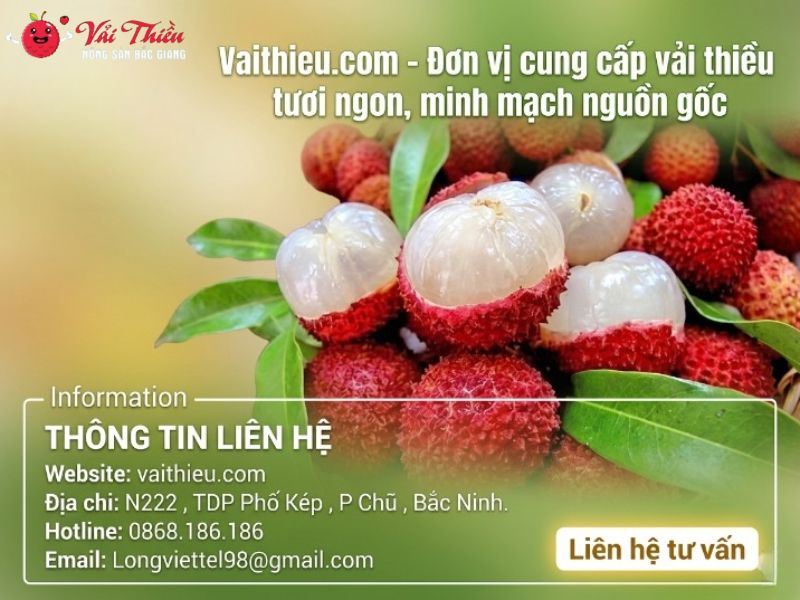 Vaithieu.com