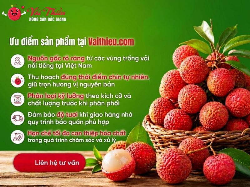 Vathieu.com 
