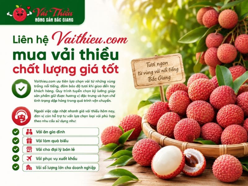 giá vải thiều hôm nay