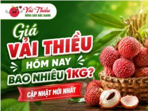 giá vải thiều hôm nay