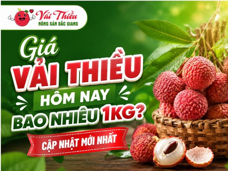 giá vải thiều hôm nay