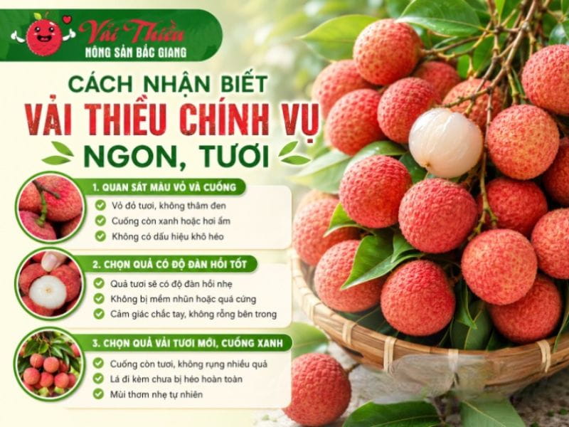 vải thiều chính vụ tháng mấy