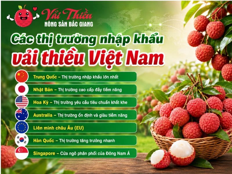 Các thị trường nhập khẩu vải thiều Việt Nam