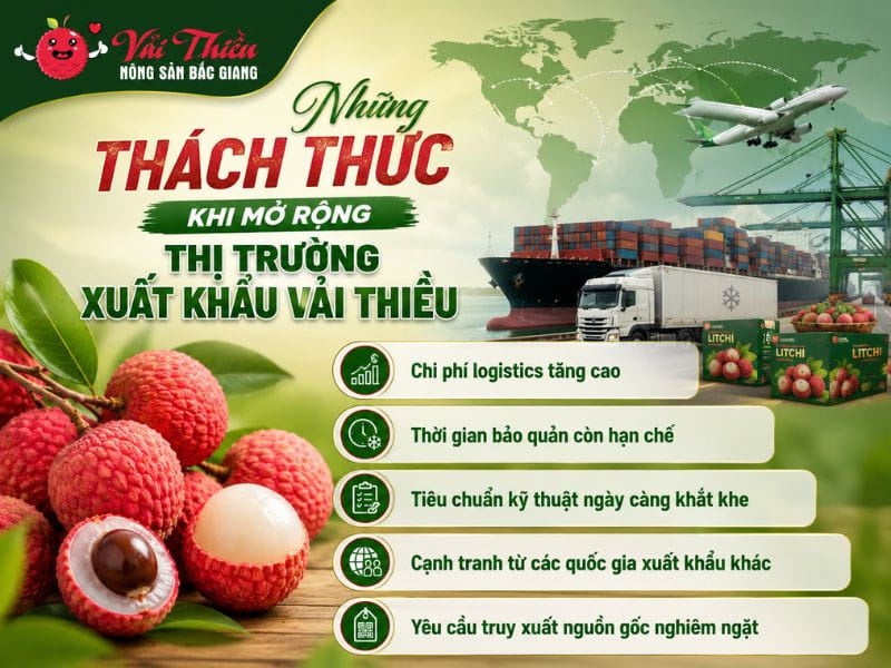 Các thị trường nhập khẩu vải thiều Việt Nam