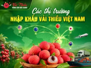 Các thị trường nhập khẩu vải thiều Việt Nam