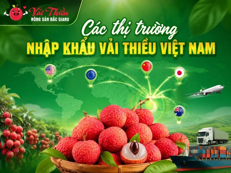 Các thị trường nhập khẩu vải thiều Việt Nam