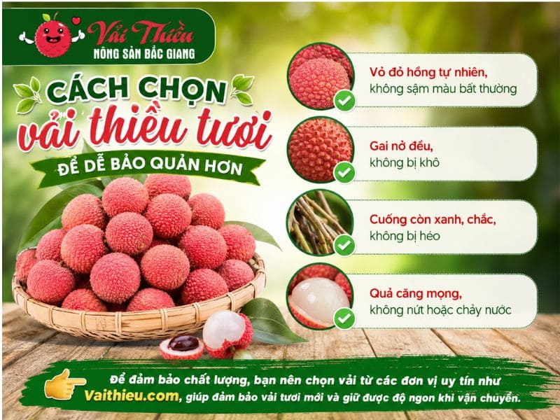 Cách bảo quản vải thiều không cần tủ lạnh
