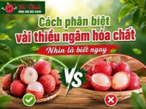Cách phân biệt vải thiều ngâm hóa chất