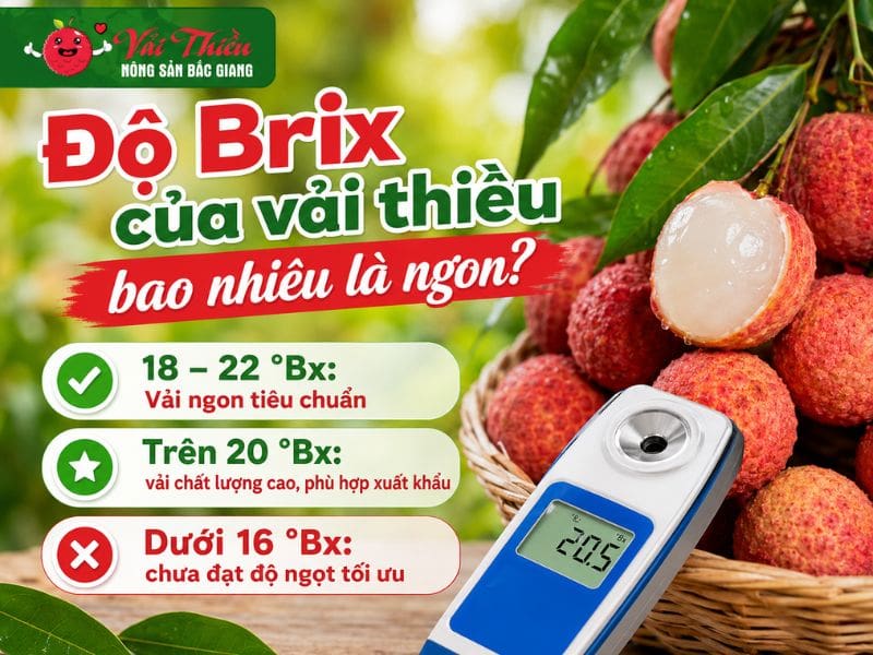 Độ Brix của vải thiều là gì