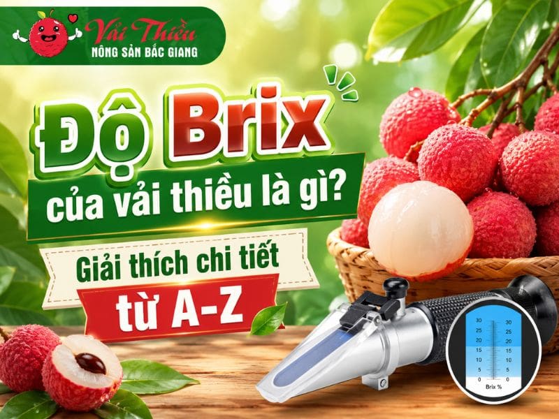 Độ Brix của vải thiều là gì