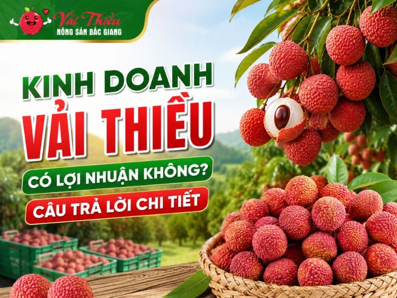 Kinh doanh vải thiều có lợi nhuận không