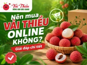 Nên mua vải thiều online không