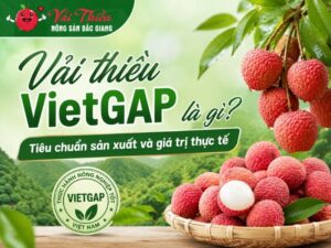 Vải thiều VietGAP là gì