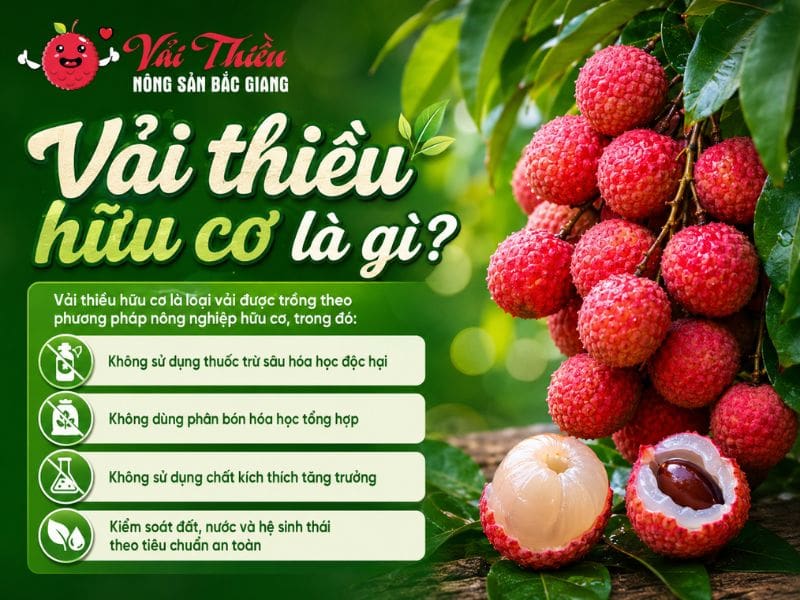 Vải thiều hữu cơ là gì