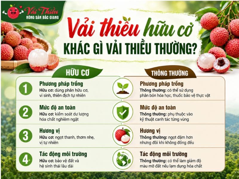 Vải thiều hữu cơ là gì