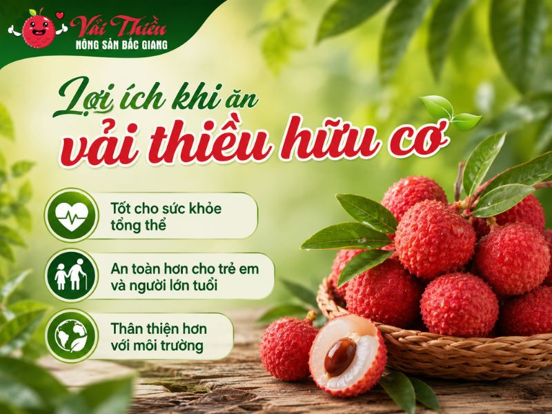 Vải thiều hữu cơ là gì