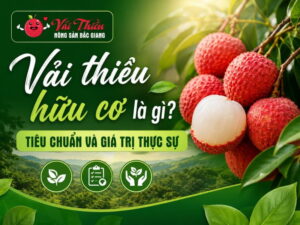 Vải thiều hữu cơ là gì