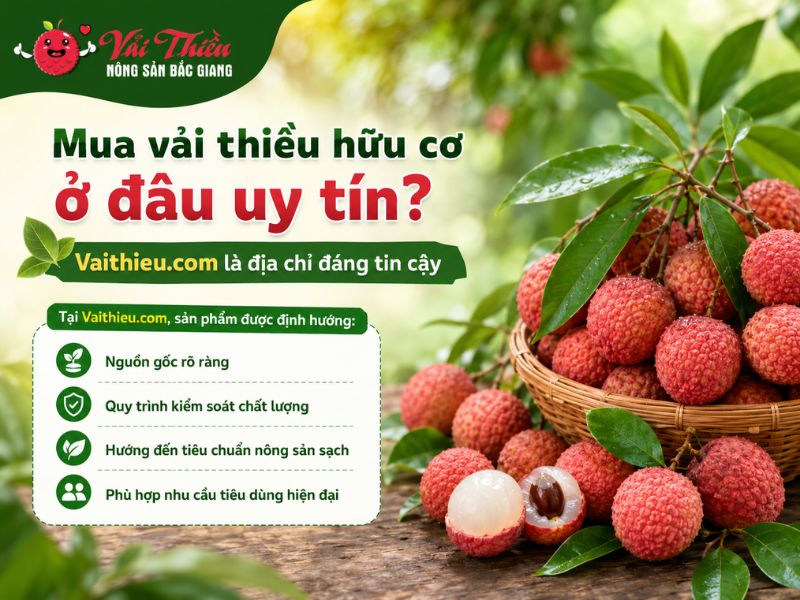 Vải thiều hữu cơ là gì