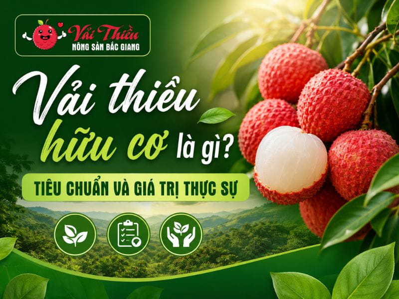 Vải thiều hữu cơ là gì