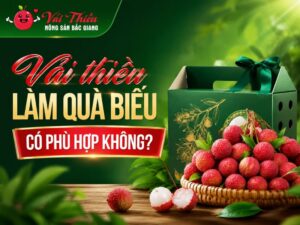 Vải thiều làm quà biếu có phù hợp không