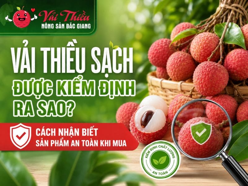 Vải thiều sạch được kiểm định như thế nào