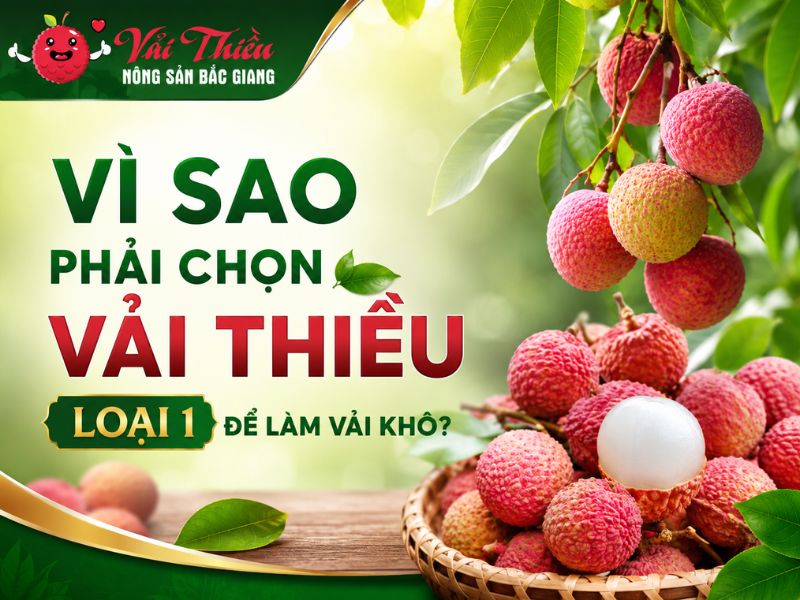 Vì sao phải chọn vải thiều loại 1 để làm vải khô