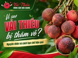 Vì sao vải thiều bị thâm vỏ