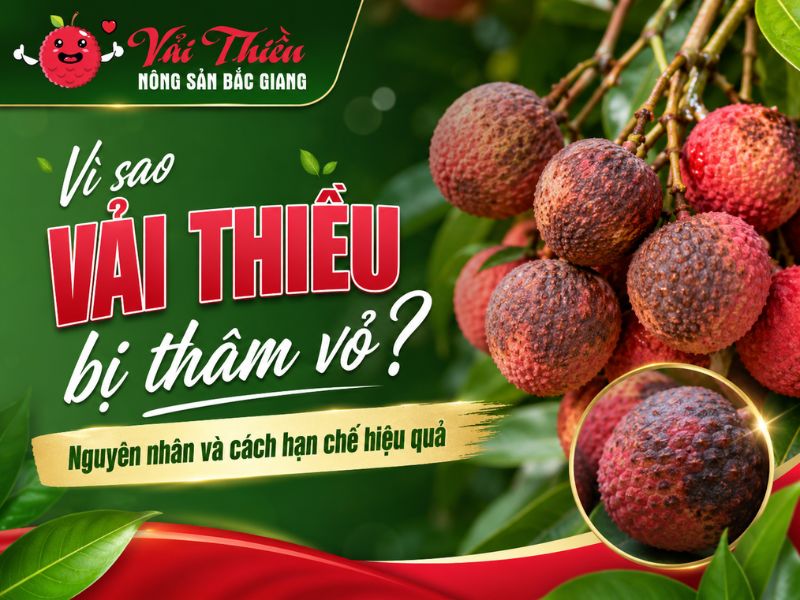 Vì sao vải thiều bị thâm vỏ