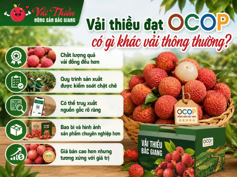 Vải thiều đạt OCOP có gì khác
