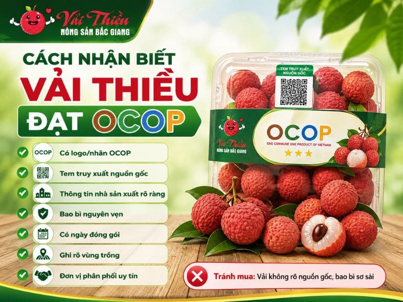Vải thiều đạt OCOP có gì khác