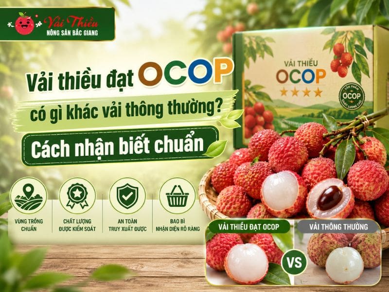 Vải thiều đạt OCOP có gì khác